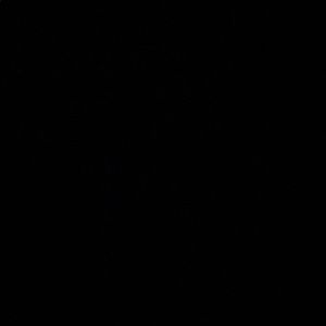 Meet your Posher, Cody